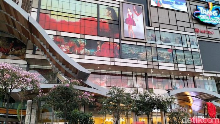 Tabebuya depan Trans Icon Surabaya Bermekaran Tabebuya di Surabaya mulai bermekaran, Selasa (2/8/2022). Termasuk yang di depan Trans Icon, frontage Jalan Ahmad Yani.