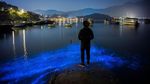 Alga Ini Bikin Pantai Bercahaya Bak Lampu Neon, Lihat Nih Bro...