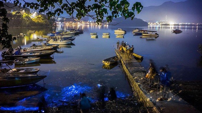 Terpukau Indahnya Pantai Bercahaya Bak Lampu Neon