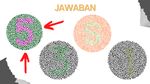 Tes Buta Warna Pakai Soal Super Gampang, Tak Butuh 5 Menit untuk Jawab Semua