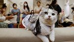 Tokyo Panas Banget, Hewan Kesayangan Sampai Pakai Baju Kipas Angin