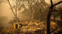 Puing-puing dari sebuah bangunan yang hangus terbakar. Bangunan sampai rata dengan tanah akibat kebakaran hutan. 