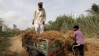 Mulazim Hussain (61) adalah salah satu yang berperan dalam munculnya lingkungan hijau di Clifton. Ia merupakan salah seorang karyawan dari proyek forestasi urban yang dipimpin Shahzad Qureshi yang berlokasi di taman milik pemerintah di Karachi.