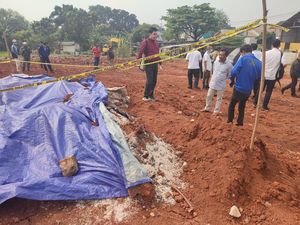 Pemilik Lahan Ungkap Beras Terkubur di Depok Tidak Rusak