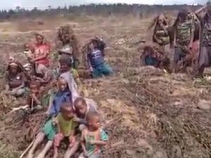 Mensos Kirim Bantuan ke Masyarakat Terdampak Krisis Pangan di Lanny Jaya