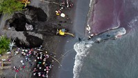 Sekretaris Dinas Perikanan Banyuwangi, Suryono Bintang Samudera mengatakan opsi penguburan bangkai paus secara utuh tidak bisa dilakukan. Bangkai paus terlalu besar sekitar 16,5 meter dengan bobot mencapai 30 ton. Di satu sisi lahan di tempat paus terdampar tergolong sempit. Alat berat tidak mampu membuat kubangan yang luas untuk lahan penguburan.