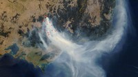 Selanjutnya, ada kebakaran hutan di Australia yang terjadi pada 2006 silam. Saat itu diperkirakan sebanyak 600.000 hektare hutan hangus terbakar.