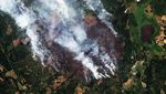 Deretan Citra Satelit Ini Merekam Dahsyatnya Kebakaran Hutan