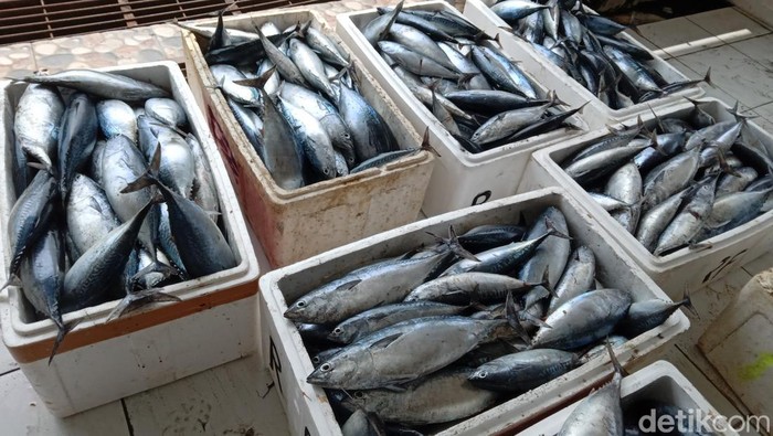 Hasil tangkapan ikan di pantai Batukaras sisa penjualan