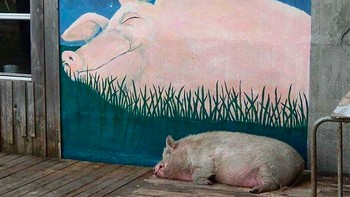 Lukisan sama aslinya kok mirip ya. Foto: via Bored Panda