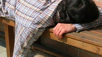 Majikannya sayang banget sama si kucing. Foto: via Bored Panda