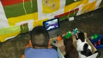 Ceritanya pada nobar. Foto: via Bored Panda