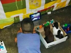 Foto-foto Lucu Hewan yang Bikin Gemas