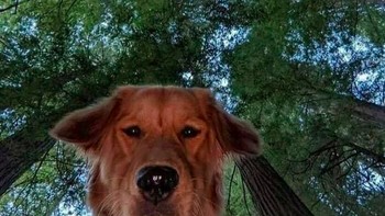 Selfie kok galak gitu? Foto: via Bored Panda