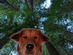 Foto-foto Lucu Hewan yang Bikin Gemas