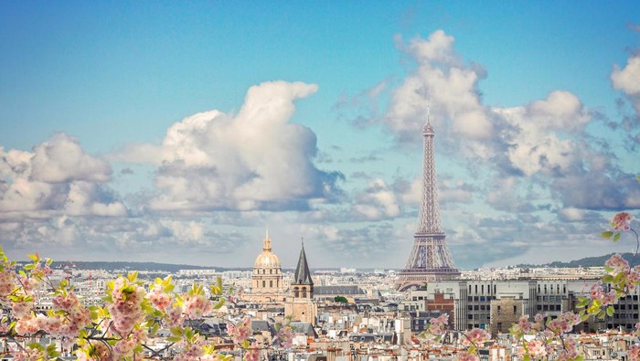 skyline of Paris city roofs with Eiffel Tower with blooming spring tree, France