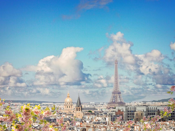 skyline of Paris city roofs with Eiffel Tower with blooming spring tree, France