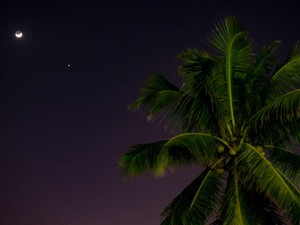 Parade Planet, Jupiter hingga Saturnus Bisa Terlihat Malam Ini di Langit RI