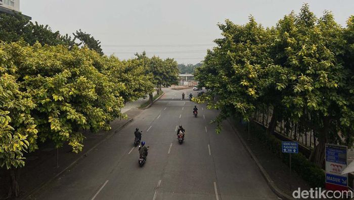 Tidak hanya Kota Jakarta, kualitas udara yang buruk juga terpantau di Kota Tangerang Selatan. Berdasarkan data IQ Air, kualitas udara di berada di angka 155.