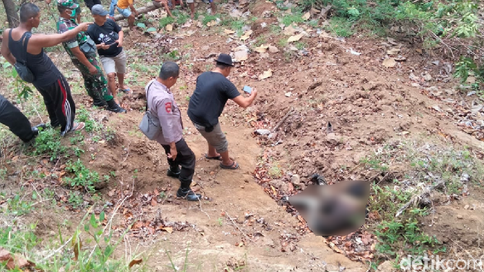 Lokasi penemuan tengkorang berkaos Teluh Jampang di Sukabumi
