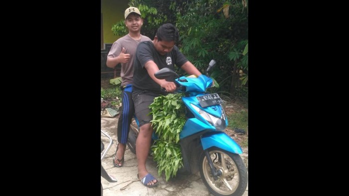 Pemuda Tasikmalaya usai panen kangkung.