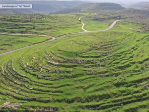Diduga Ada Makam Nabi, Israel Gali Situs Arkeologi di Tepi Barat