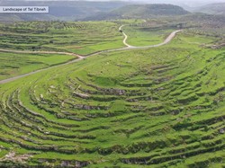 Israel Gali Situs Arkeologi Diduga Tempat Makam Nabi
