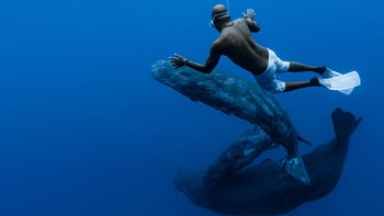 Paus Sperma yang sedang tidur didekati oleh penyelam di Pulau Mauritius, Samudera Hindia. Foto: Getty Images/Alexis Rosenfeld