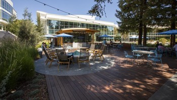 Bagian luarnya juga nyaman dan teduh, enak untuk bekerja. Foto: Office Snapshot