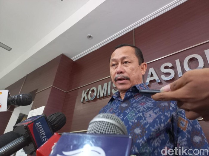 Ketua Komnas HAM, Ahmad Taufan Damanik,