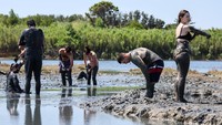 Para wisatawan mengolesi diri mereka dengan lumpur di Pantai Queens.