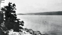 Oleh sebab itu, banyak peneliti menilai kalau monster Loch Ness adalah Wels Catfish alias ikan lele raksasa. Namun, misteri Loch Ness tampaknya jadi cerita tersendiri. Masih dianggap sebuah misteri yang tidak terpecahkan.