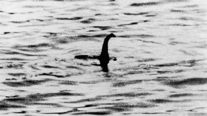 Jika menyebut hal paling misteri di dunia, maka monster Loch Ness adalah jawabannya. Suatu monster atau dinosaurus dari Skotlandia.