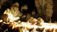 Tim dokter mengambil sampel gigi, bagian kepala dan daging paus untuk dilakukan penyelidikan guna mengetahui penyebab kematian.