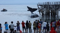 Warga melihat seekor Paus Sperma (physeter macrocephalus) terdampar di Pantai Warudoyong, Bulusan, Banyuwangi, Jawa Timur, Senin (1/8/2022). Kejadian itu membuat heboh warga setempat.