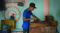 Perajin cerutu Eduardo Martinez, menggulung daun tembakau di Pinto Salinas San Antonio, Venezuela, tak jauh perbatasann Kolombia, Rabu, (3/8/2022). Aroma wangi tembakau langsung terhirup di ruangan ini. Para perajin berharap harga dan penjualan meningkat seiring rencana pembukaan perbatasan Venezuela-Kolombia.