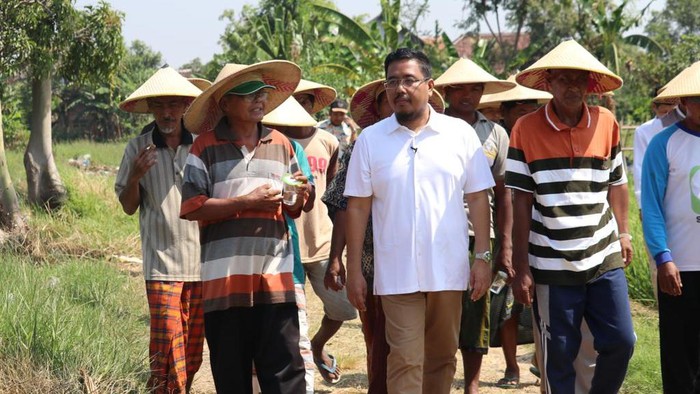 Wakil Ketua DPRD Jatim Anwar Sadad bertemu petani Pasuruan