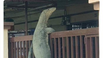 Permisi, paket.... Takut nggak sih?