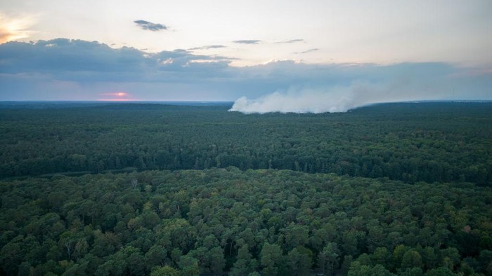 BERLIN, GERMANY - AUGUST 04: In an aerial view, smoke rises from the site of a fire at a munitions site in the Grunewald forest at sunset on August 4, 2022 in Berlin, Germany. The site, normally used by police to store and detonate World War II-era and other munitions, was struck by an explosion in the early hours today. Explosions continued throughout the day, hampering efforts by firefighters to reach the site. (Photo by Christian Ender/Getty Images)