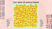 Oke, mari kita coba lagi. Temukan buah pear di tengah bebek-bebek ini Foto: Irene Putri Wibowo/detikHealth