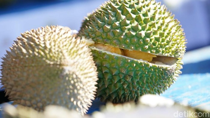 Buah durian yang dijual di Pekanbaru (Raja/detikSumut)