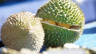 5 Tempat Makan Durian di Pekanbaru yang Wajib Dikunjungi