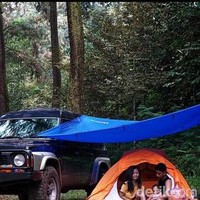 Nia menambahkan, ia dan suaminya sebelumnya tinggal di Jakarta. Setelah hamil keduanya memutuskan untuk pindah dan tinggal di desa, di dekat lereng Gunung Sumbing di Kaliangkrik, Magelang, Jawa Tengah. Kenapa milih desa? Karena saya kerjanya remote dan suami juga kerjaannya bisa dihandle dari jauh, terlebih kita suka dengan suasana alam. Kalau saya dari kecil memang sudah tinggal di desa walaupun bukan di gunung tapi kehidupannya hampir sama. Hanya saja cuacanya yang beda, tapi lain halnya sama anakku dia dari bayi merah sudah terbiasa di gunung jadi suhu badan dia juga menyesuaikan dan tahan dingin, ucapnya. Foto: Dok. TikTok @niavennya.