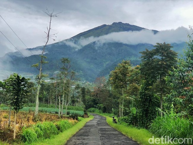Kita mendaki Gunung Andong ketinggian 1726 MDPL yang mana hanya satu jam saja untuk sampai di puncak, itu saat pertama kali Beline naik gunung. Sebelum kita mendaki gunung, saya dan suami sudah sering bawa anak saya untuk adventure dan roadtrip bisa dilihat di story saya, bahkan Beline mandi di sungai. Anakku termasuk bayi yang tahan dingin tapi nggak kuat panas karena kita juga tinggal di tempat dingin, ungkap Nia kepada Wolipop, Kamis (4/8/2022). Foto: Dok. pribadi Nia.