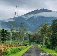 Kita mendaki Gunung Andong ketinggian 1726 MDPL yang mana hanya satu jam saja untuk sampai di puncak, itu saat pertama kali Beline naik gunung. Sebelum kita mendaki gunung, saya dan suami sudah sering bawa anak saya untuk adventure dan roadtrip bisa dilihat di story saya, bahkan Beline mandi di sungai. Anakku termasuk bayi yang tahan dingin tapi nggak kuat panas karena kita juga tinggal di tempat dingin, ungkap Nia kepada Wolipop, Kamis (4/8/2022). Foto: Dok. pribadi Nia.