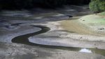 Gelombang Panas Bikin Waduk Ardingly Inggris Mengering, Nih Fotonya