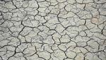 Gelombang Panas Bikin Waduk Ardingly Inggris Mengering, Nih Fotonya
