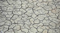Gelombang panas mengakibatkan tanah di waduk tersebut retak-retak. 