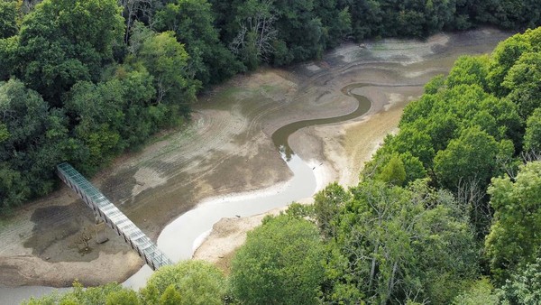 Gelombang Panas Bikin Waduk Ardingly Inggris Mengering, Nih Fotonya