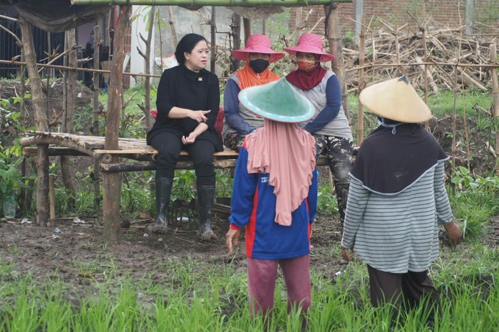 Ketua DPR RI Puan Maharani